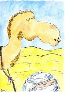 camel friend001