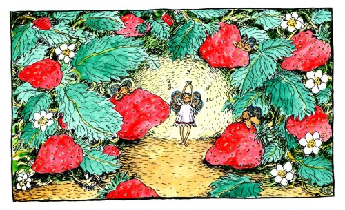 strawberry ballerina001